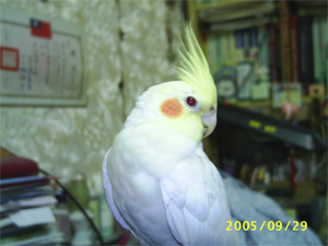 Photo 23948
