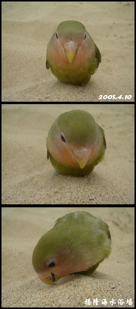 福隆海水浴場