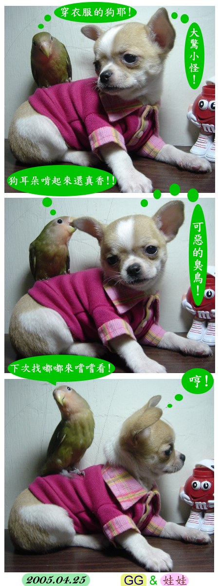 GG VS. 娃娃