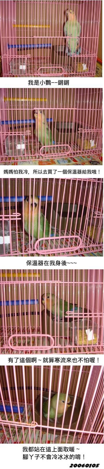 低溫特報~要注意保暖哦!