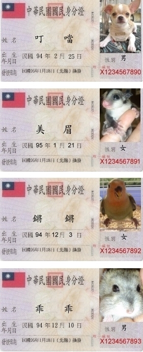我們家的寶貝都有新國民身份證囉~~~