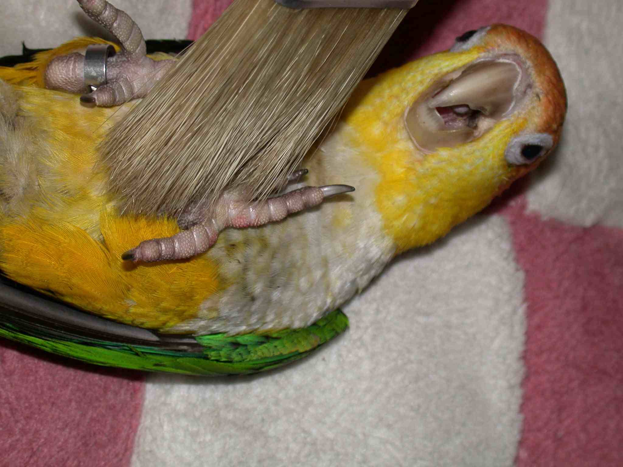 stevennn2