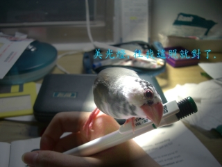 不用再懷疑了!