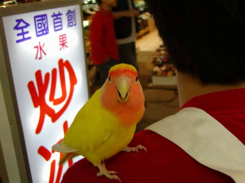 安安個人寫真-3