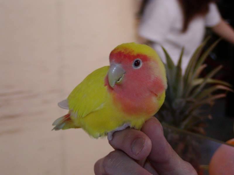 安安個人寫真-4