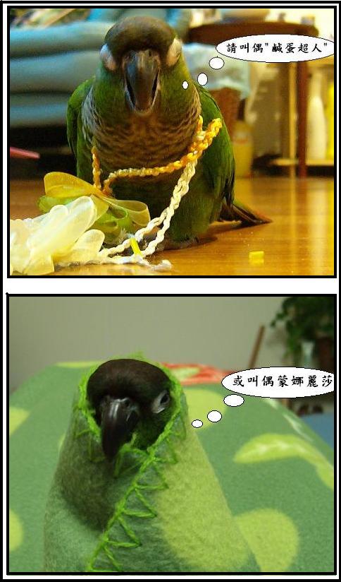 此鳥已花轟!!