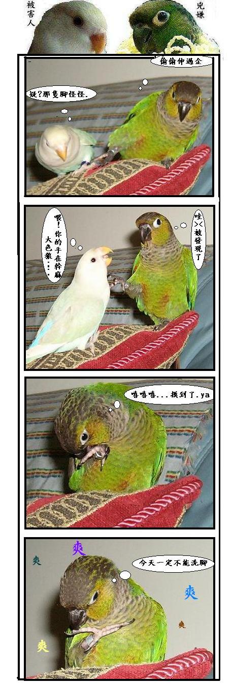 台南之狼