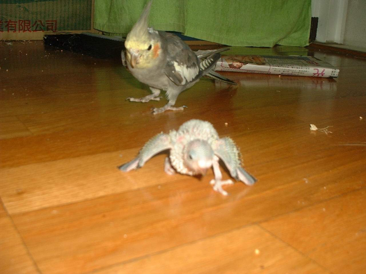 有怪獸>"<