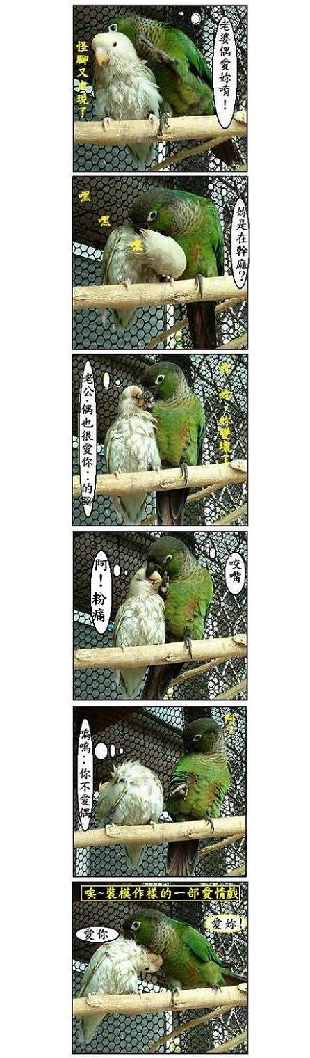又開始演戲了