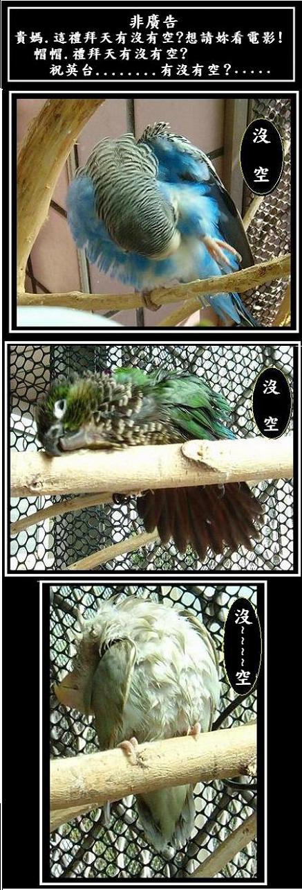 非廣告