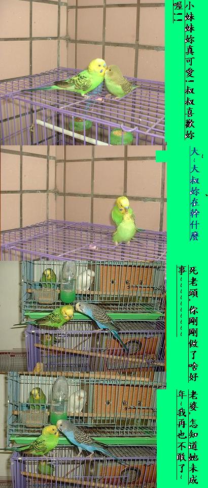 做了不該做的事~~