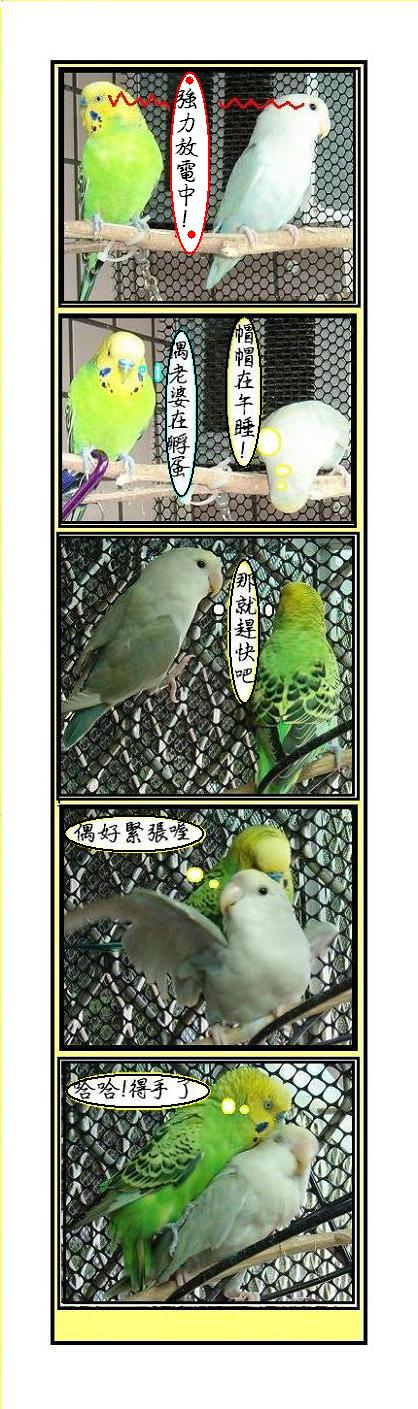 午后的偷情