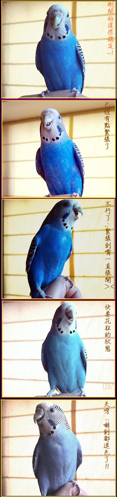 貴媽.