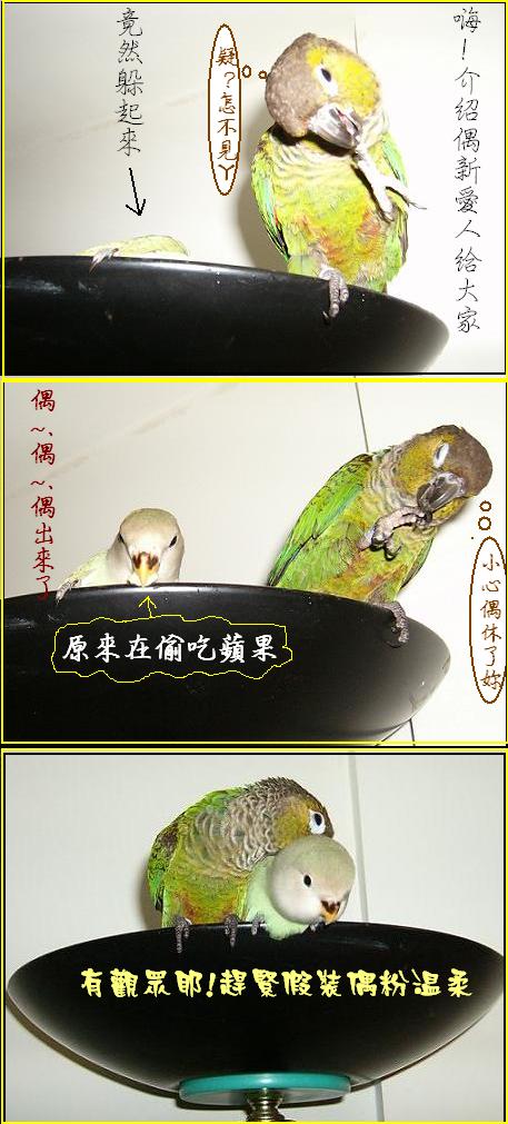 一切都是假象...