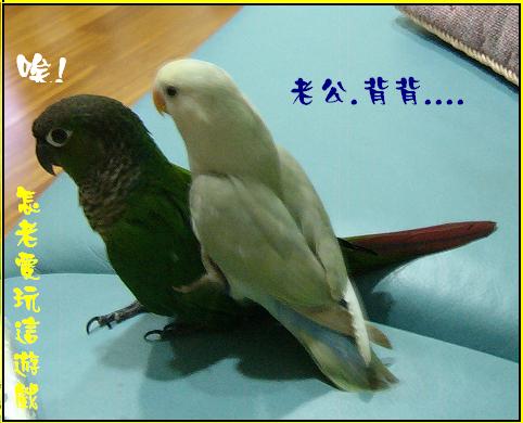 苦命的......老公