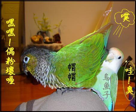 天下第一壞蛋