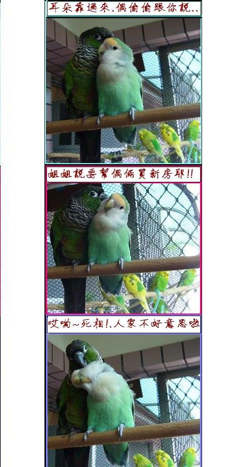 悄悄話