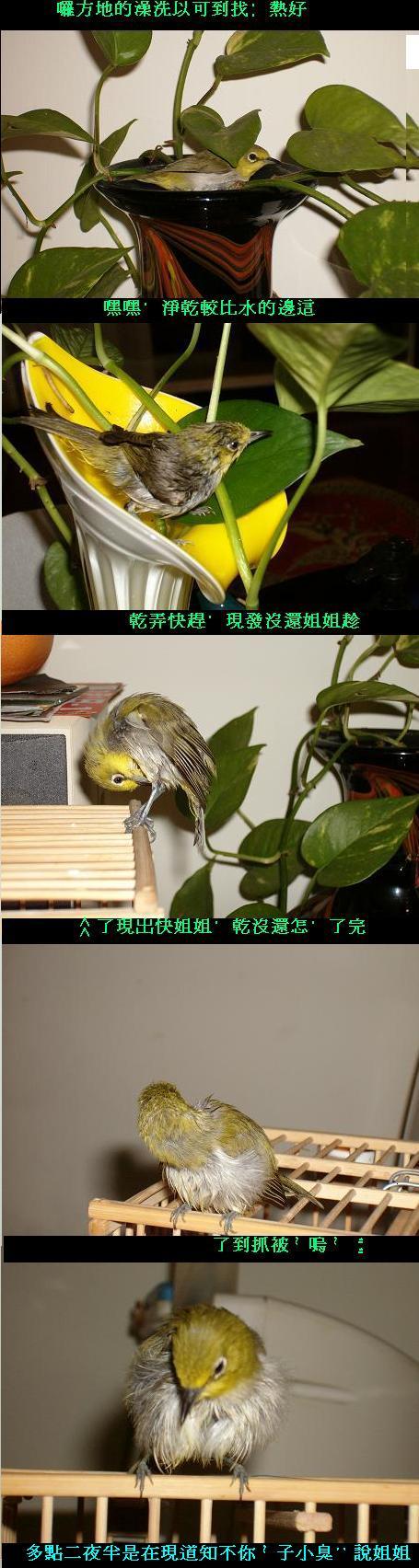 洗澡篇