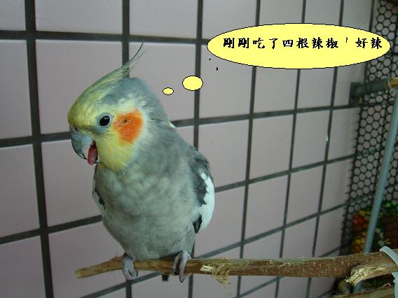 有那摸辣嗎...?!
