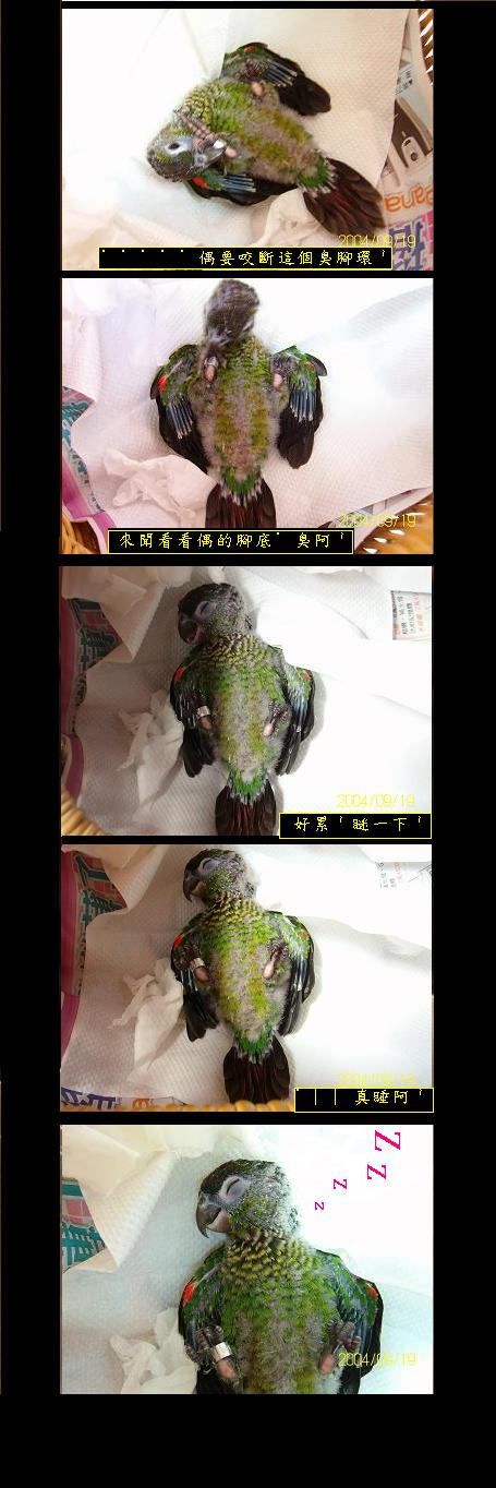 被你打敗><"