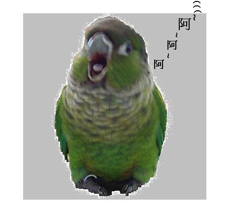 偶～偶一定要唱歌啦!