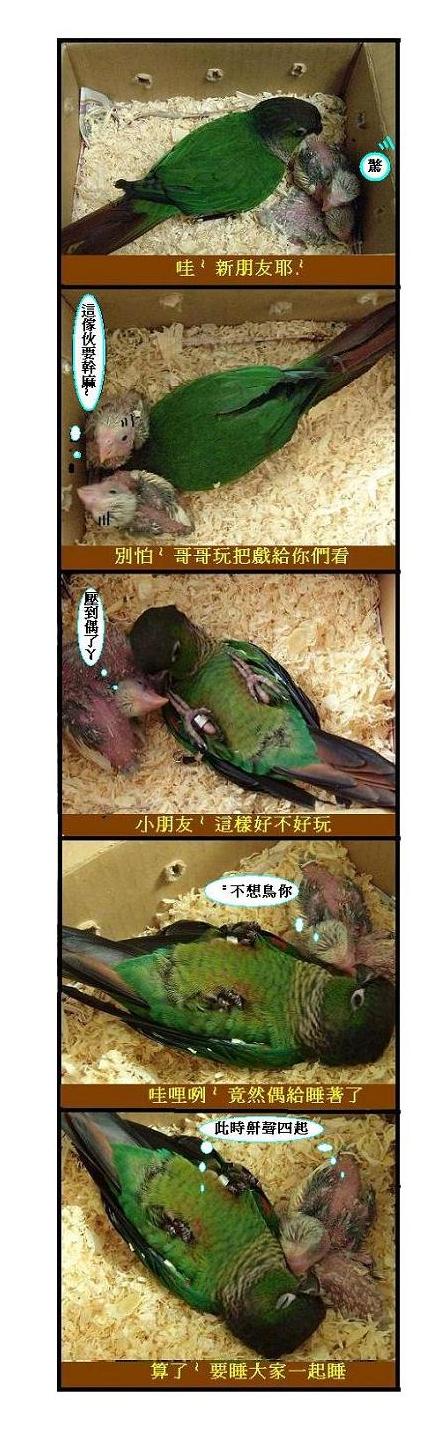 真的被你打敗了><