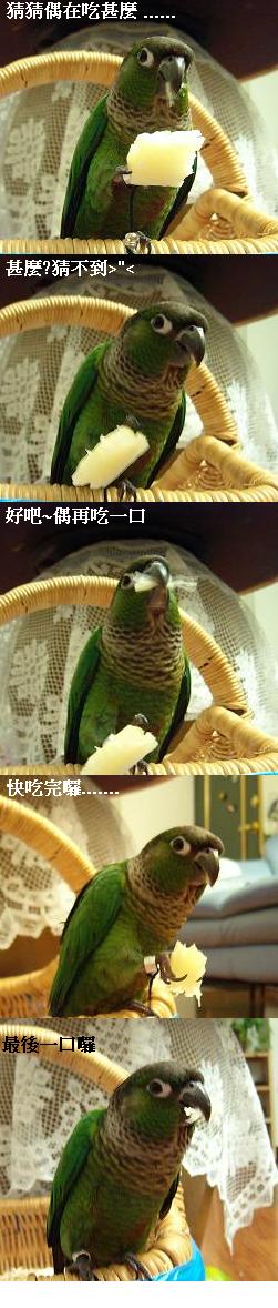 猜謎遊戲