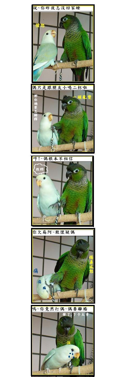 現代家庭暴力版