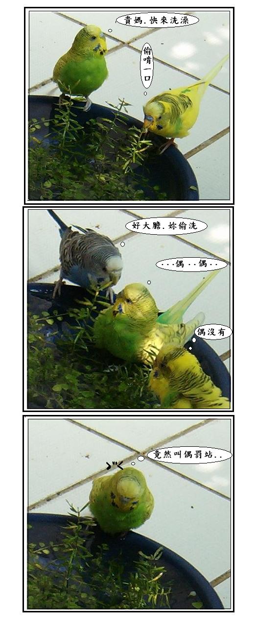 偶下次不敢偷洗了......