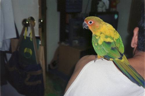 再來一張