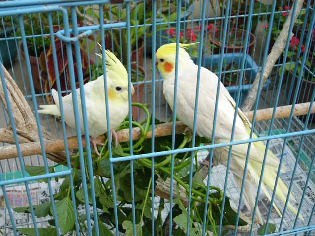 享用大餐~