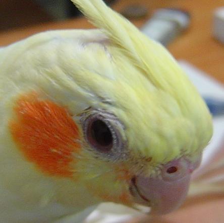 伸展一下吧