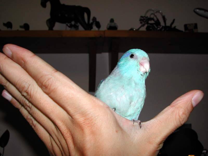 Strike a pose !
