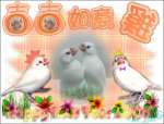 祝大家...
吉吉如意!!
雞雞平安!!
鳥鳥萬歲~~~~~!!
^______^
感謝各位大大的支持，中意的話，可供當桌布使用唷^_^
