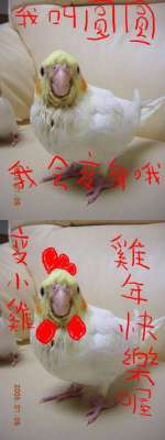 圓圓變身