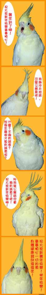 啾啾代表家裡所有鳥寶貝們祝各位大大新"啾"年快樂 ^0^

祝各位大大們：
新年快樂身體健康事事順心財源滾滾學業順利人鳥平安~~