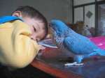 這樣看鳥最舒服 呵呵