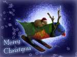 Merry X'mas