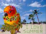 I love summer