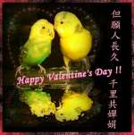 Happy Valentine's Day