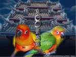 第八號內褲
