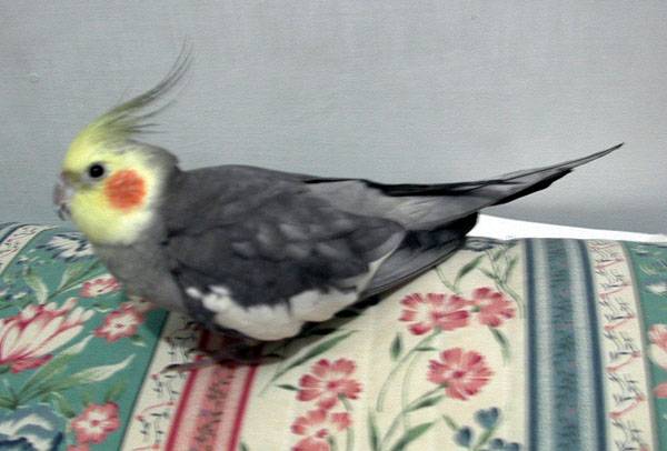 你在偷拍ㄚ..