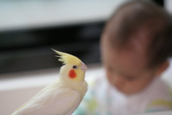 我才是主角
