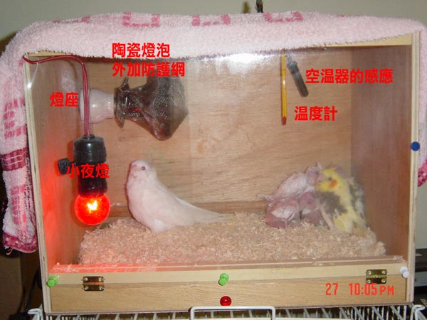 保溫箱