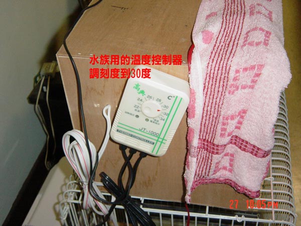 溫度控制器