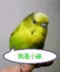 他走了…