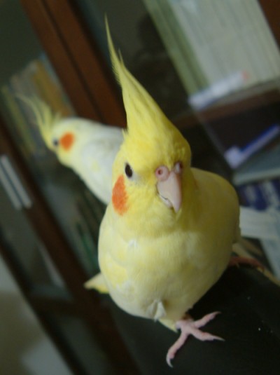 快來搶好位子
