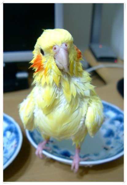 貝貝出浴
