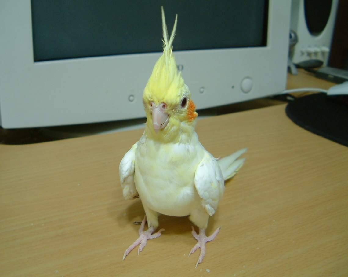 立正站好!!!