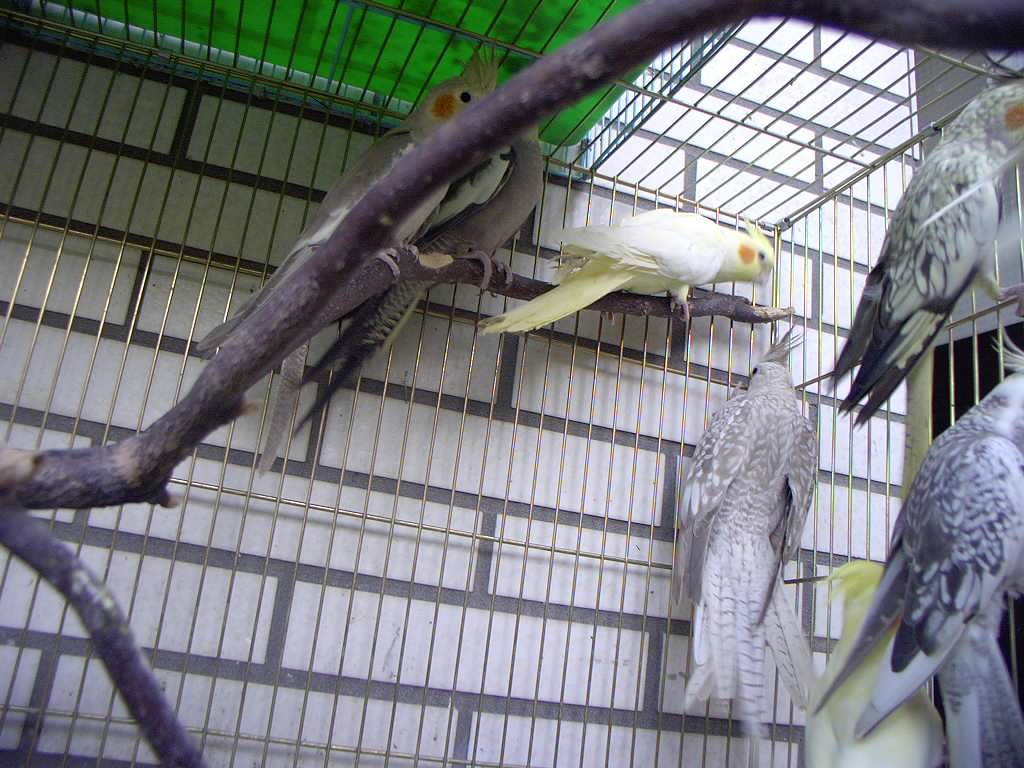 Photo 9229